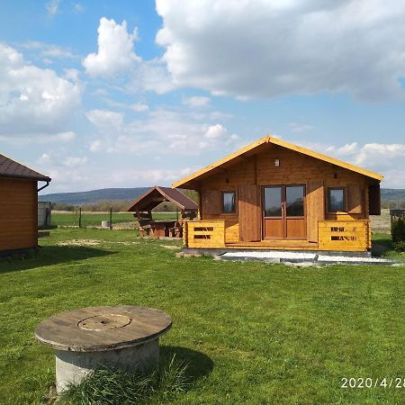 Witowka Villa Bieliny  ภายนอก รูปภาพ